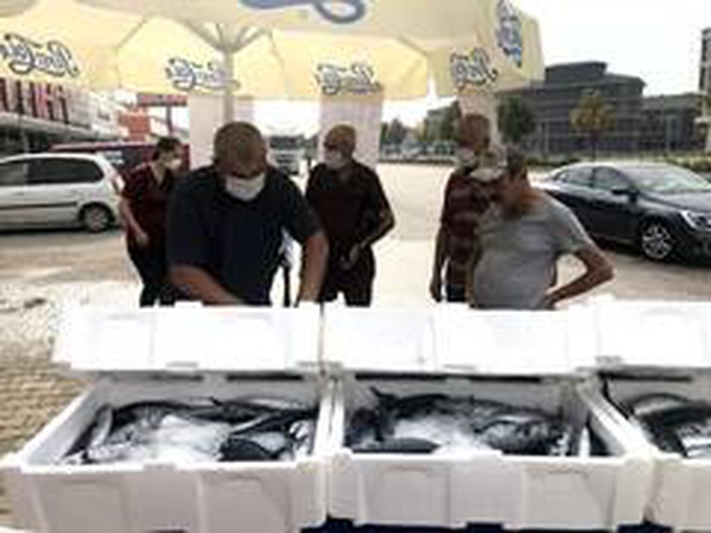 3 tane palamudun 10 lira olduğunu duyan balıkçıya koştu 3 tane palamudun 10 lira olduğunu duyan balıkçıya koştu