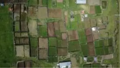 Tristan da Cunha: Koronavirüsün uğramadığı, dünyanın 'en uzak' adasında yaşam