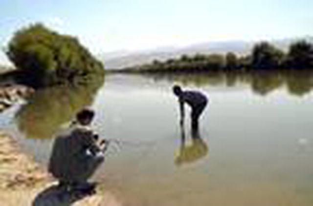 Karasu Nehri'nde kıyıya vuran balıkların saçabileceği tehlikeyi umursamayan vatandaşlar pişirip yiyor