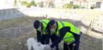 Başı bidona sıkışan köpeği jandarma kurtardı