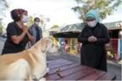 Emine Erdoğan, barınaktaki 'Leblebi' isimli engelli köpeği sahiplendi