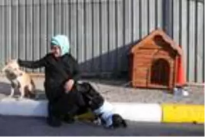 Emine Erdoğan, barınaktaki 'Leblebi' isimli engelli köpeği sahiplendi