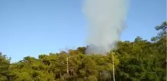 Son dakika gündem: Antalya'da orman yangını