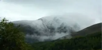 Posof yılın ilk kar yağışı ile beyaza büründü