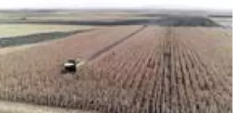 Tarım Kredi Kooperatifleri Genel Müdürü: Her alanda kendi göbeğimizi kendimiz kesmemiz lazım