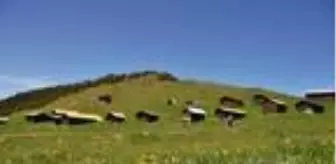 Yaylalarda yıkım ve denetimlerle kaçak yapılaşma durdu