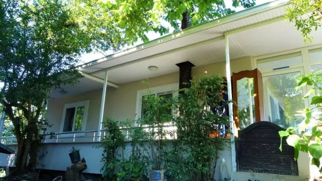 Baba mirası ağacı kesmeye kıyamadı, 8 yıldır evinin içerisinde ağaçla yaşıyor