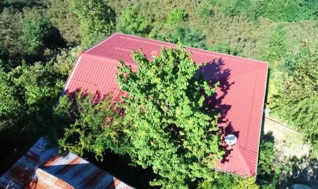Baba mirası ağacı kesmeye kıyamadı, 8 yıldır evinin içerisinde ağaçla yaşıyor