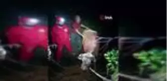 Su kanalına düşen inek kurtarıldı