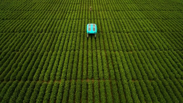 Google'ın robotları tarladaki ürünü tek tek inceleyip çiftçiye bilgi verecek
