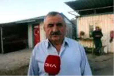 Müzik duyunca oynamadan duramıyor, trafik cezası kesilirken bile göbek atıyor