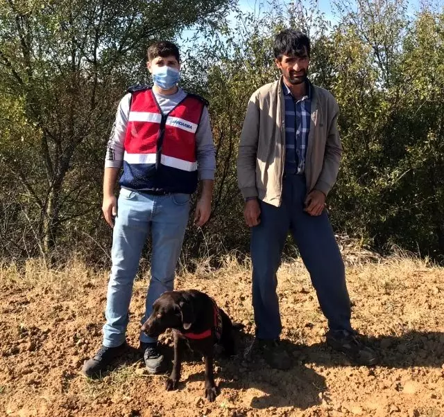 'Canı sıkıldı' diye evini terk etti, 2 gün sonra sağ salim bulundu