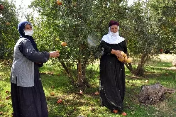 40 yıl önce gelin geldiği köye muhtar oldu! Şimdiki hedefi ise belediye başkanlığı