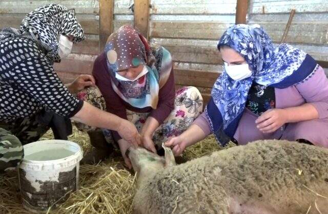 (BURSA - Özel) Aniden fenalaşıp yere düşüyorlar