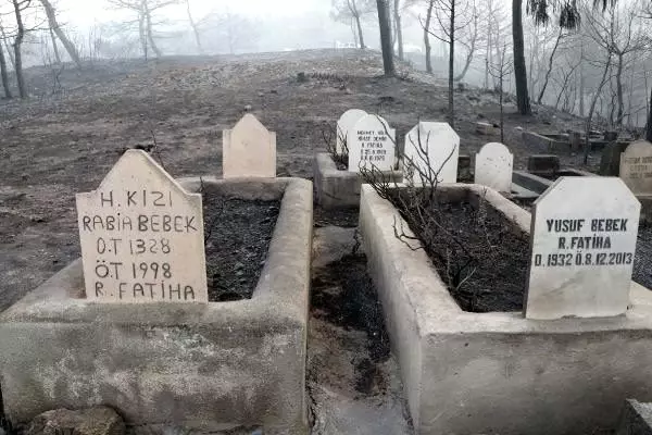 Söndürme çalışmalarının sürdüğü İskenderun'da Azganlık Şehitliği, yangından etkilenmedi