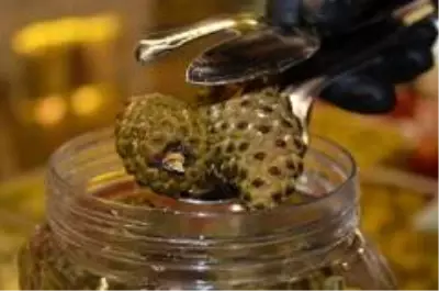 Çam kozalağından denemelik turşu yapmaya başlamıştı, şimdi taleplere yetişemiyor Çam kozalağından denemelik turşu yapmaya başlamıştı, şimdi taleplere yetişemiyor