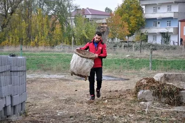 Köyünde koşmaya başladı, atletizmde şampiyon oldu