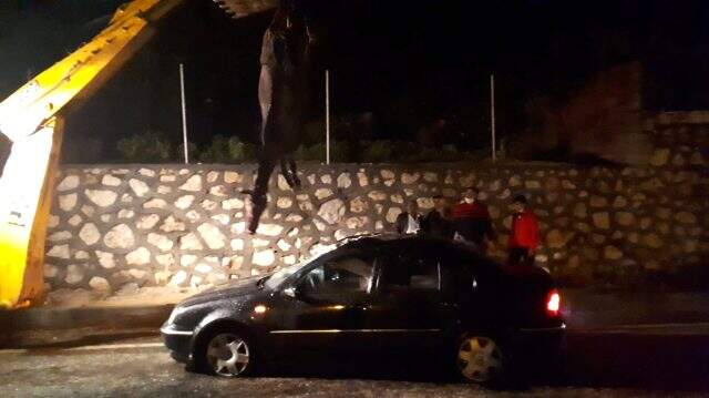 Otomobilin çarptığı at aracın içine girdi! Talihsiz hayvan telef olurken kazada 1 kişi yaralandı