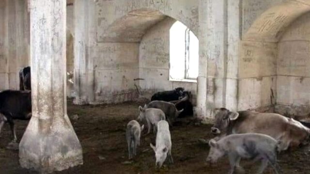 Ermeniler Zengilan'dan sonra Gubadlı'da da aynı alçaklığı yaptı! Tarihi cami domuz ağırına çevrilmiş