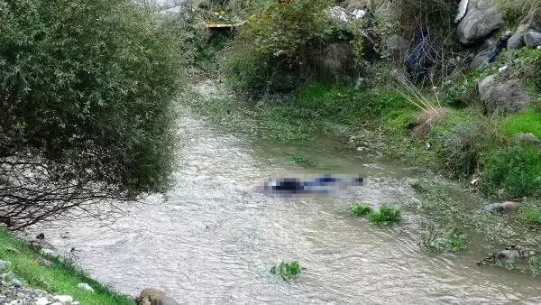 Gezintiye çıkan vatandaşlar, deredeki cansız bedeni görünce telefona sarıldı