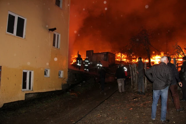 Köyde çıkan yangında 10 ev ve bir cami çatısı yandı