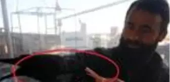 Karganın çay bahçesinde parayı alıp uçma anı kamerada