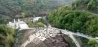 11 Kasım Milli Ağaçlandırma Günü