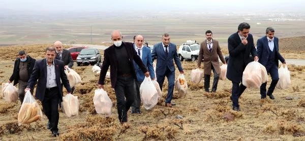 Erzurum'da 487 yıllık gelenek! Doğaya yine 2001 ekmek bıraktılar