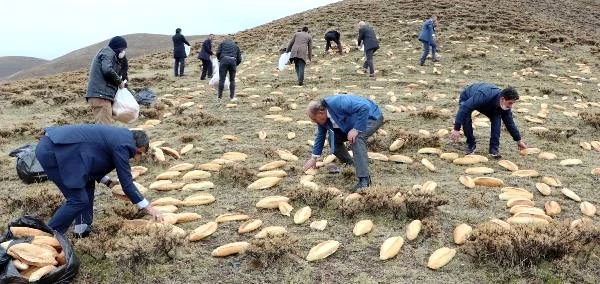 Erzurum'da 487 yıllık gelenek! Doğaya yine 2001 ekmek bıraktılar