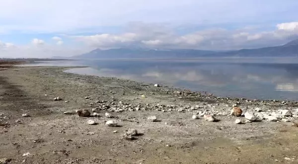 Son dakika... Dünyada sadece Burdur Gölü'nde, tamamen yok olmak üzere