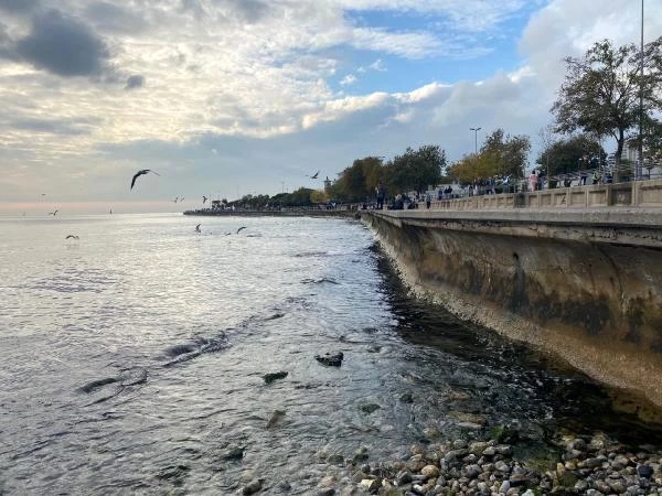 Kadıköy'de çekilen sular, deprem olacağından endişelenen vatandaşları korkuttu