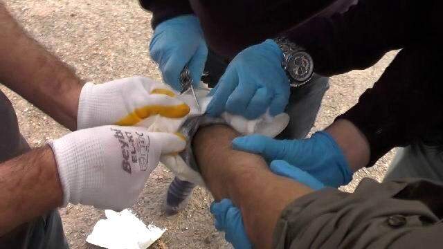 Saldırı hazırlığındaki terörist, zaman ayarlı bomba düzeneğini kolundaki alçıda kamufle etmiş Saldırı hazırlığındaki terörist, zaman ayarlı bomba düzeneğini kolundaki alçıda kamufle etmiş