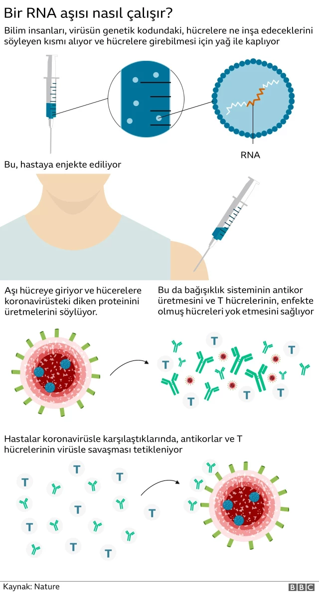Koronavirüs aşısı: Genetik mRNA teknolojisi Covid-19 dışındaki hastalıkların tedavisinde 'çığır açabilir'