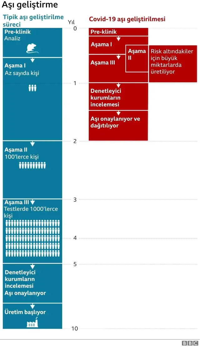 Koronavirüs aşısı: Oxford'de denenen aşı yaşlıları koruma konusunda umut veriyor