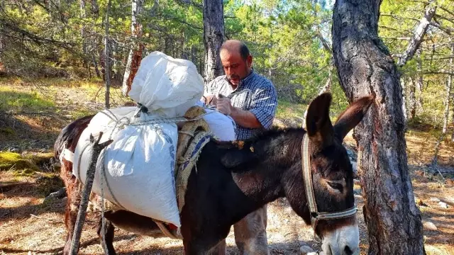 Sabahları sofranızdan eksik etmediğiniz pekmezin lezzeti mağaran çıkarılan toprakta saklı