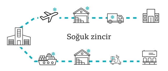 Covid aşısı: 'Normal hayata' dönüş ne kadar sürebilir, nüfusun ne kadarının aşılanması gerekir?