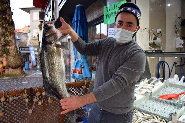 Karadeniz'de ağlara takılan 8 kilogramlık levrek 1.040 liradan satışa sunuldu