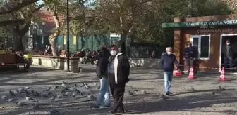Son dakika haber | 65 yaş ve üstü vatandaşlar AA'nın 'Yılın Fotoğrafları' oylamasına katıldı