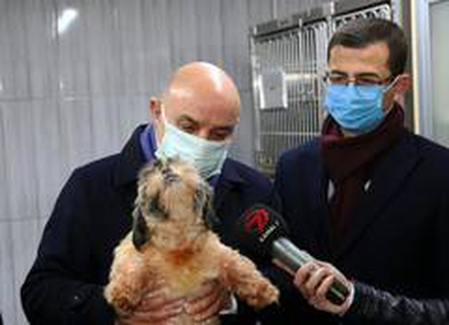 Uygunsuz şartlarda yetiştirilen 68 köpeğe Keçiören Belediyesi sahip çıktı