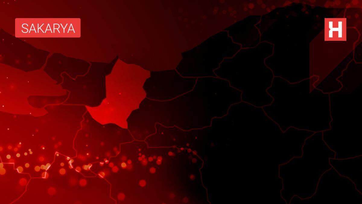 Ferizli'de samanlık yangını