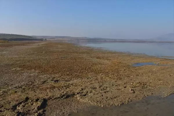 2 bin vatandaşın geçim kaynağı Marmara Gölü yok oluyor! Derinlik 40 santimetreye düştü