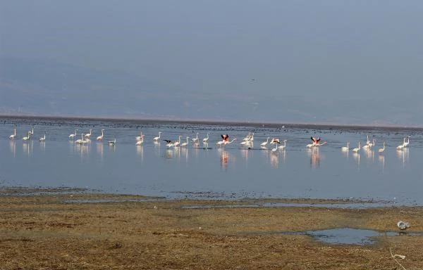 2 bin vatandaşın geçim kaynağı Marmara Gölü yok oluyor! Derinlik 40 santimetreye düştü
