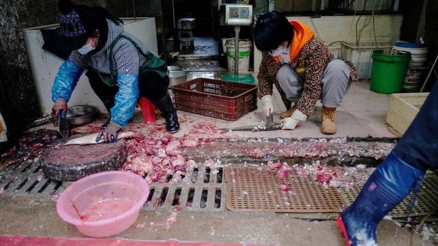Yaklaşık bir yıl sonra koronavirüs salgınının başlangıç noktası Wuhan