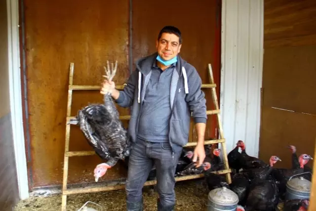 Pandemi döneminde tavuk alıp doğa ile iç içe yaşamaya başlayınca hayatı değişti