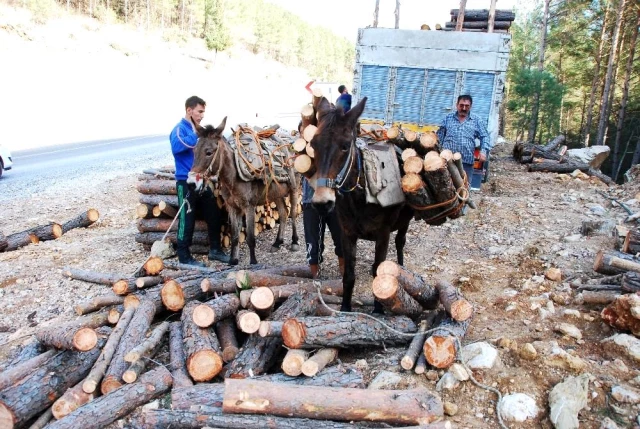 Kış şartlarında zorlu yaşam mücadelesi veren orman işçileri günlük 750 TL kazanıyor