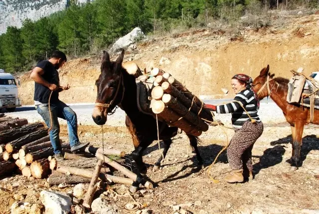 Kış şartlarında zorlu yaşam mücadelesi veren orman işçileri günlük 750 TL kazanıyor