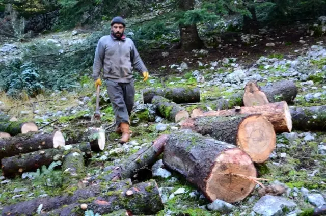 Kış şartlarında zorlu yaşam mücadelesi veren orman işçileri günlük 750 TL kazanıyor