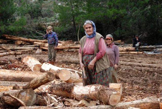 Kış şartlarında zorlu yaşam mücadelesi veren orman işçileri günlük 750 TL kazanıyor
