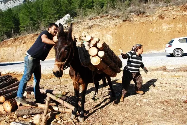 Kış şartlarında zorlu yaşam mücadelesi veren orman işçileri günlük 750 TL kazanıyor