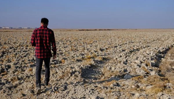 Konya Ovası'nda kuraklık alarmı! Yağışlar olmazsa 2021'de kayıplar yaşanacak